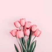 ヒメ日記 2025/04/27 14:20 投稿 小澤ゆな 月の真珠-新宿-