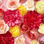 ヒメ日記 2025/05/01 19:48 投稿 小澤ゆな 月の真珠-新宿-