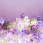 ヒメ日記 2025/05/04 12:30 投稿 小澤ゆな 月の真珠-新宿-