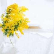 ヒメ日記 2025/05/06 07:48 投稿 小澤ゆな 月の真珠-新宿-