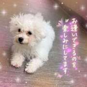 ヒメ日記 2025/05/06 14:10 投稿 小澤ゆな 月の真珠-新宿-