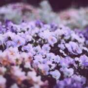 ヒメ日記 2025/05/06 18:40 投稿 小澤ゆな 月の真珠-新宿-