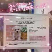 ヒメ日記 2025/05/10 23:58 投稿 小澤ゆな 月の真珠-新宿-