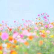 ヒメ日記 2025/05/14 00:27 投稿 小澤ゆな 月の真珠-新宿-