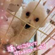 ヒメ日記 2025/05/18 18:21 投稿 小澤ゆな 月の真珠-新宿-