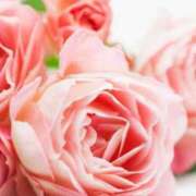 ヒメ日記 2025/05/18 21:08 投稿 小澤ゆな 月の真珠-新宿-