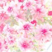 ヒメ日記 2025/05/20 14:48 投稿 小澤ゆな 月の真珠-新宿-