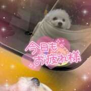 ヒメ日記 2025/05/21 12:18 投稿 小澤ゆな 月の真珠-新宿-