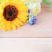 ヒメ日記 2025/05/23 01:18 投稿 小澤ゆな 月の真珠-新宿-