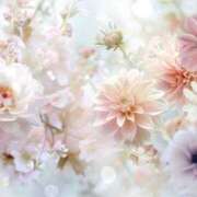 ヒメ日記 2025/05/23 23:52 投稿 小澤ゆな 月の真珠-新宿-