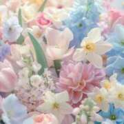 ヒメ日記 2025/05/24 17:25 投稿 小澤ゆな 月の真珠-新宿-