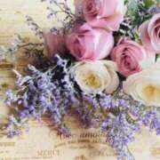 ヒメ日記 2025/05/28 01:08 投稿 小澤ゆな 月の真珠-新宿-