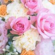 ヒメ日記 2025/05/29 14:18 投稿 小澤ゆな 月の真珠-新宿-