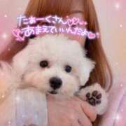 ヒメ日記 2025/05/30 15:28 投稿 小澤ゆな 月の真珠-新宿-