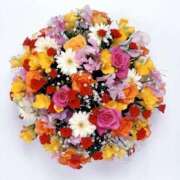 ヒメ日記 2025/05/31 22:48 投稿 小澤ゆな 月の真珠-新宿-