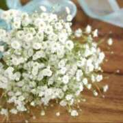 ヒメ日記 2025/06/01 23:08 投稿 小澤ゆな 月の真珠-新宿-