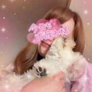 ヒメ日記 2025/06/05 18:08 投稿 小澤ゆな 月の真珠-新宿-