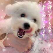 ヒメ日記 2025/06/08 10:34 投稿 小澤ゆな 月の真珠-新宿-