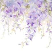 ヒメ日記 2025/06/15 10:08 投稿 小澤ゆな 月の真珠-新宿-