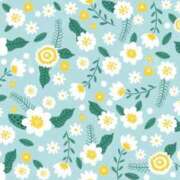 ヒメ日記 2025/06/19 12:18 投稿 小澤ゆな 月の真珠-新宿-