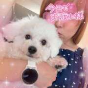 ヒメ日記 2025/06/19 17:48 投稿 小澤ゆな 月の真珠-新宿-