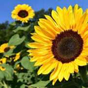 ヒメ日記 2025/06/20 21:38 投稿 小澤ゆな 月の真珠-新宿-