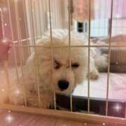 ヒメ日記 2025/06/23 16:18 投稿 小澤ゆな 月の真珠-新宿-