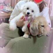 ヒメ日記 2025/06/26 15:13 投稿 小澤ゆな 月の真珠-新宿-