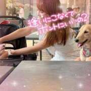 ヒメ日記 2025/06/29 17:18 投稿 小澤ゆな 月の真珠-新宿-