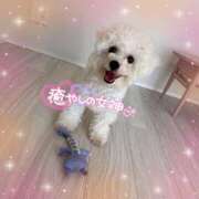 ヒメ日記 2025/06/30 16:58 投稿 小澤ゆな 月の真珠-新宿-