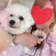 ヒメ日記 2025/06/30 22:18 投稿 小澤ゆな 月の真珠-新宿-