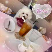 ヒメ日記 2025/07/06 22:08 投稿 小澤ゆな 月の真珠-新宿-