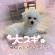 ヒメ日記 2025/07/15 12:08 投稿 小澤ゆな 月の真珠-新宿-