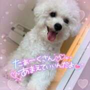 ヒメ日記 2025/07/16 10:40 投稿 小澤ゆな 月の真珠-新宿-