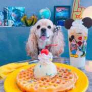 ヒメ日記 2025/07/16 17:40 投稿 小澤ゆな 月の真珠-新宿-