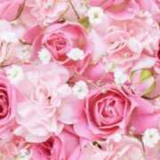 ヒメ日記 2025/07/17 13:35 投稿 小澤ゆな 月の真珠-新宿-