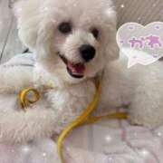 ヒメ日記 2025/07/17 18:42 投稿 小澤ゆな 月の真珠-新宿-