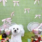 ヒメ日記 2025/07/19 11:48 投稿 小澤ゆな 月の真珠-新宿-