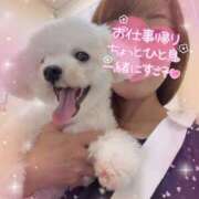 ヒメ日記 2025/07/20 17:48 投稿 小澤ゆな 月の真珠-新宿-