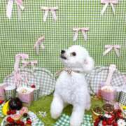 ヒメ日記 2025/07/21 10:33 投稿 小澤ゆな 月の真珠-新宿-