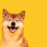 ヒメ日記 2025/07/21 17:28 投稿 小澤ゆな 月の真珠-新宿-