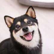 ヒメ日記 2025/07/21 23:08 投稿 小澤ゆな 月の真珠-新宿-