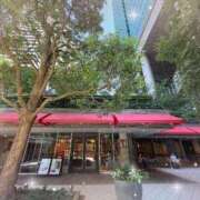 ヒメ日記 2025/07/29 10:08 投稿 小澤ゆな 月の真珠-新宿-