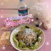 ヒメ日記 2025/07/30 17:08 投稿 小澤ゆな 月の真珠-新宿-