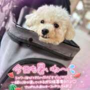 ヒメ日記 2025/08/03 13:48 投稿 小澤ゆな 月の真珠-新宿-