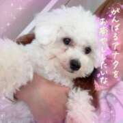 ヒメ日記 2025/08/03 15:48 投稿 小澤ゆな 月の真珠-新宿-