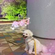 ヒメ日記 2025/08/04 07:18 投稿 小澤ゆな 月の真珠-新宿-