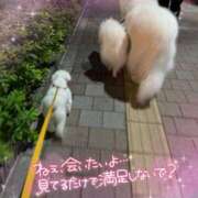 ヒメ日記 2025/08/04 10:28 投稿 小澤ゆな 月の真珠-新宿-