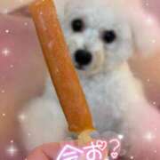 ヒメ日記 2025/08/06 14:28 投稿 小澤ゆな 月の真珠-新宿-