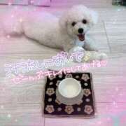 ヒメ日記 2025/08/07 07:08 投稿 小澤ゆな 月の真珠-新宿-